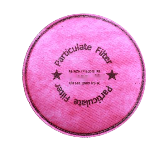 Particulate Filter
