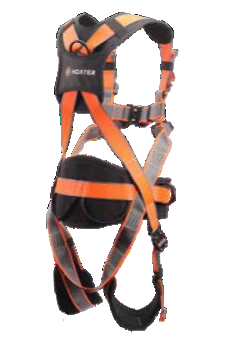 Dual-Point Harness