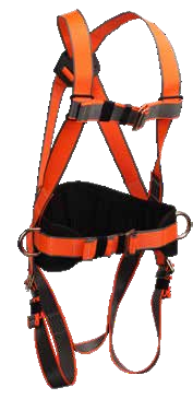 Padded Harness