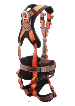 Multi-Point Harness